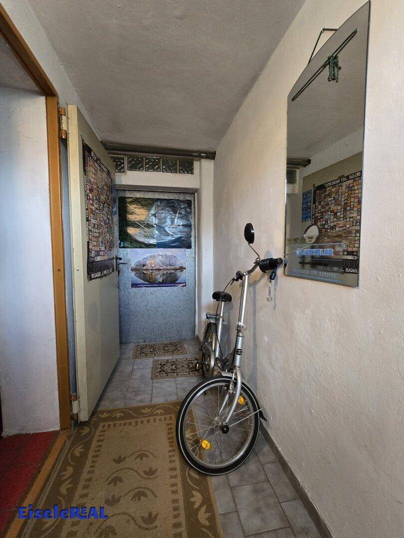 Eingangsbereich im Keller mit Fahrrad, Spiegel und Zugang zum Untergeschoss.