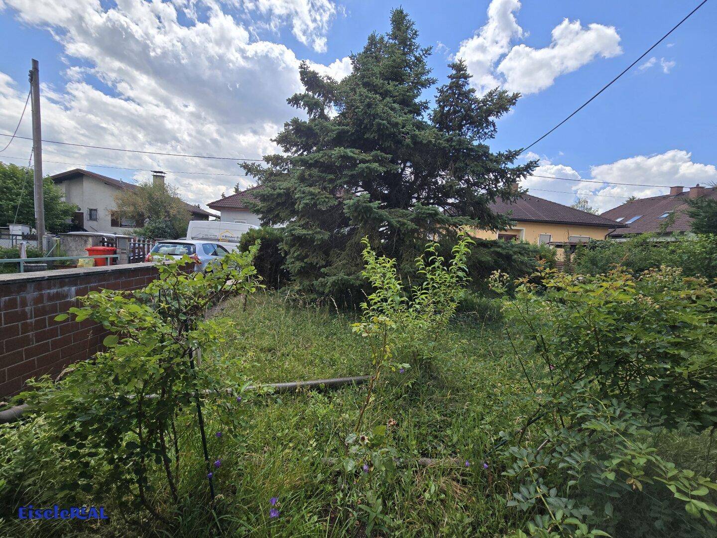 Naturbelassener Gartenbereich mit großem Nadelbaum und einer niedrigen Ziegelmauer.