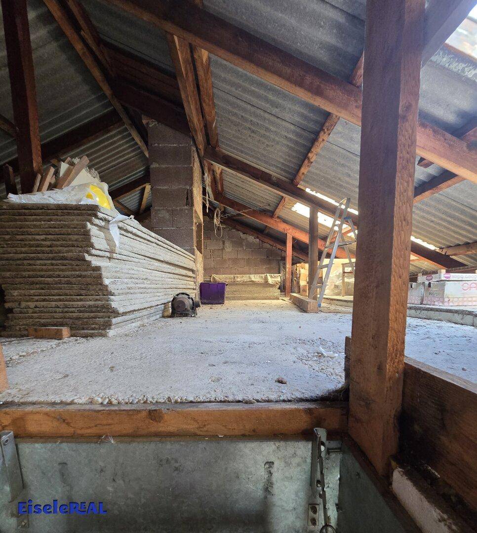 Unausgebauter Dachboden mit sichtbaren Holzbalken und Wellblechdach, bereit für den Ausbau.