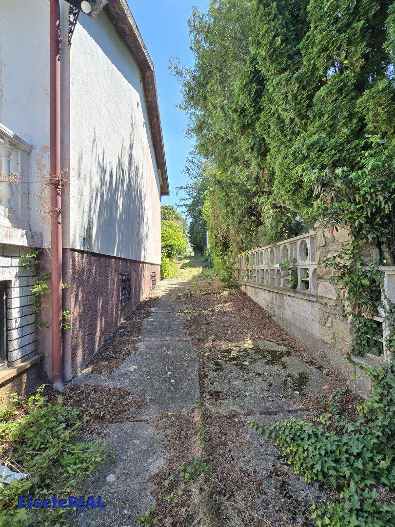 Schmaler, bewachsener Weg entlang der Hauswand und einer Steinmauer mit üppigem Grün.