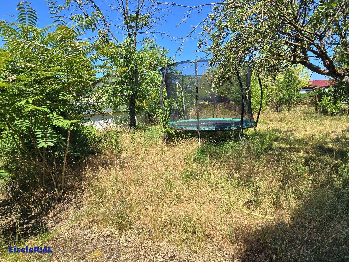 Weitläufiger Garten mit einem Trampolin, Obstbäumen und hohem Gras unter strahlend blauem Himmel.