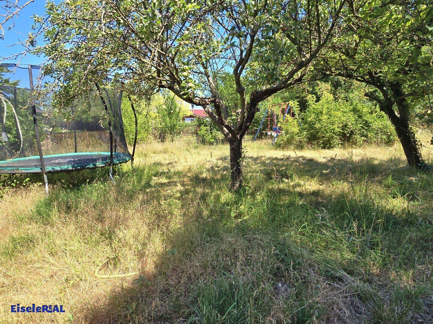 Sonniger Garten mit Trampolin, alten Bäumen und einem Spielplatz in der Ferne.