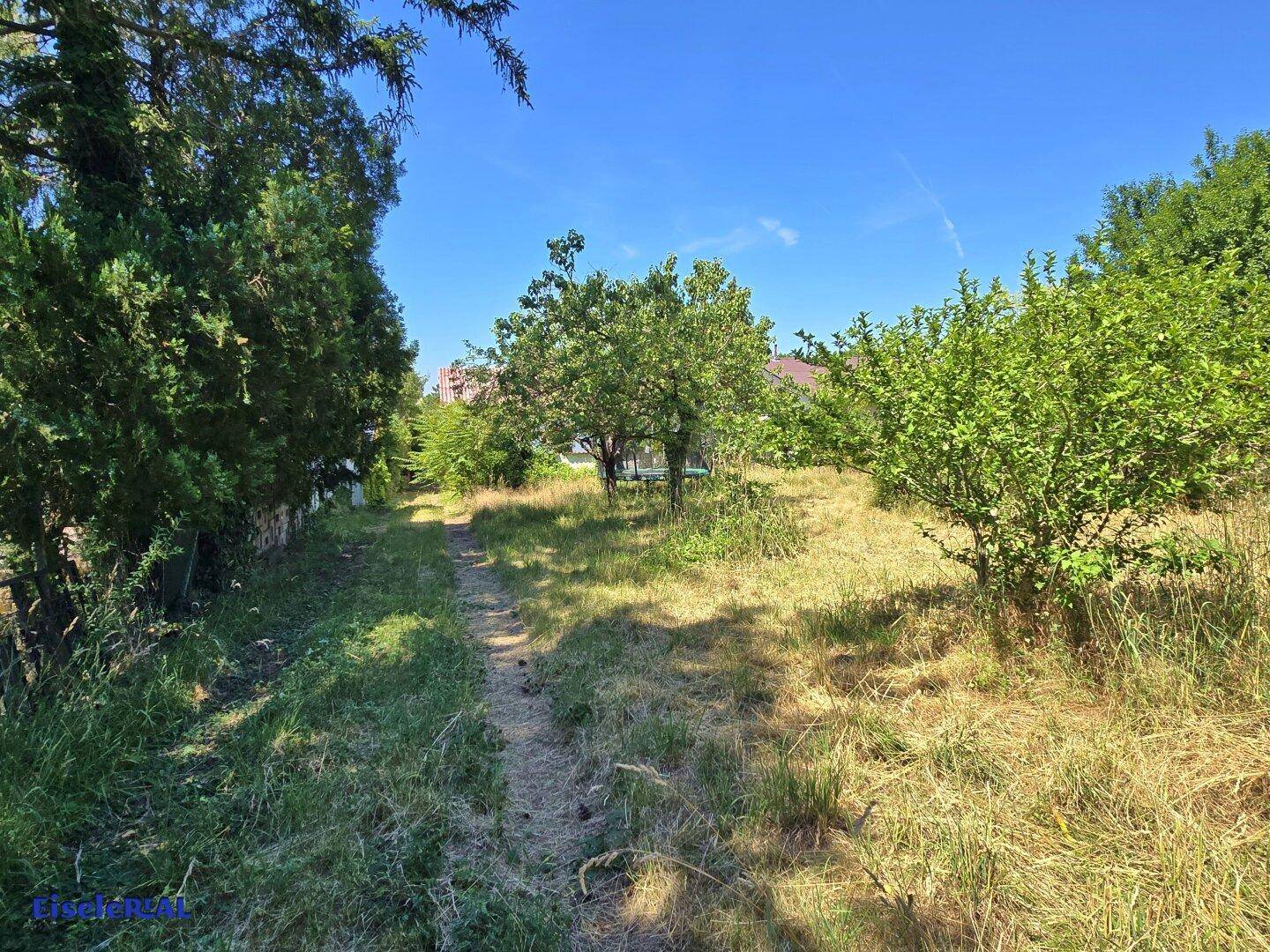 Großer, sonniger Gartenbereich mit einem Trampelpfad und verschiedenen Bäumen und Sträuchern.