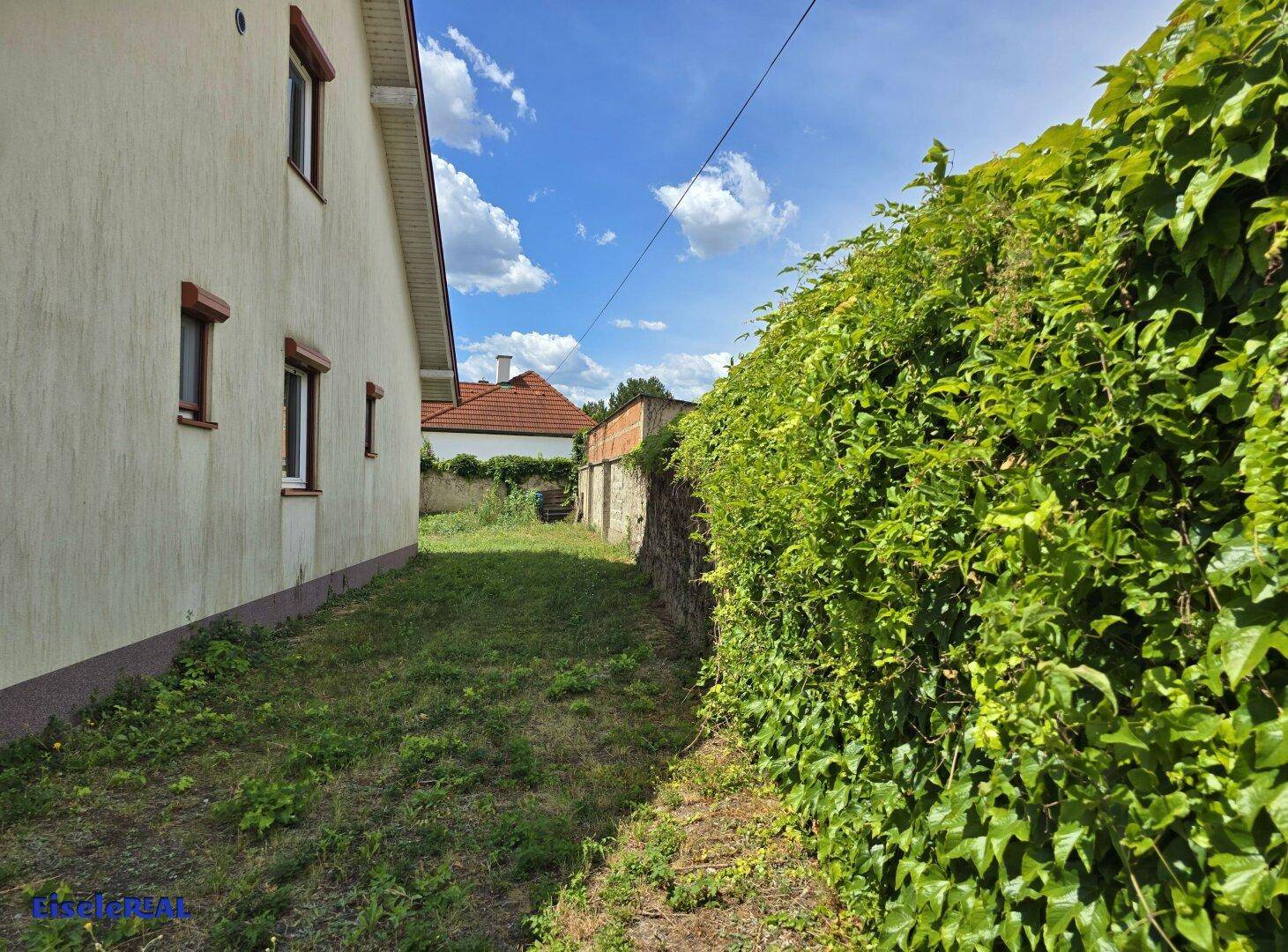 Schmaler Gartenweg entlang der Hauswand mit üppiger Hecke.