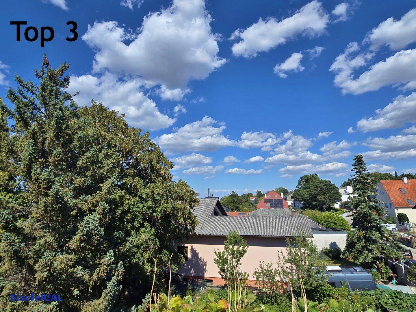 Weiter Blick über die Nachbarschaft und grüne Landschaft unter blauem Himmel.
