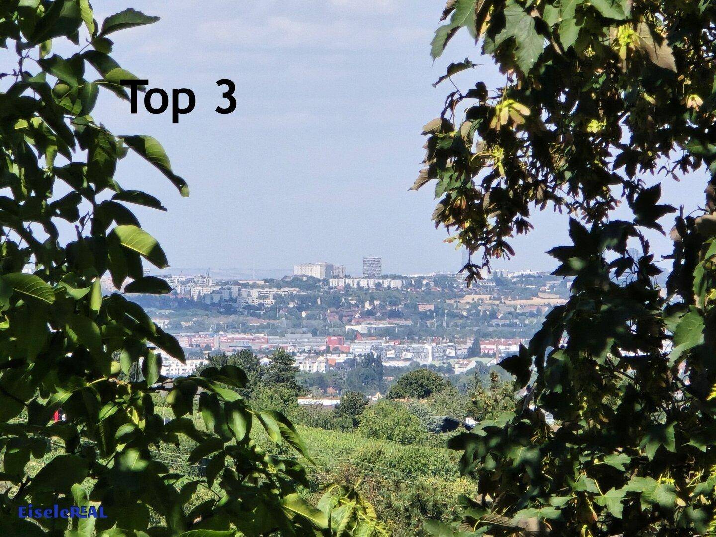 Weitläufiger Blick über eine Stadtlandschaft mit viel Grün im Vordergrund unter klarem Himmel.