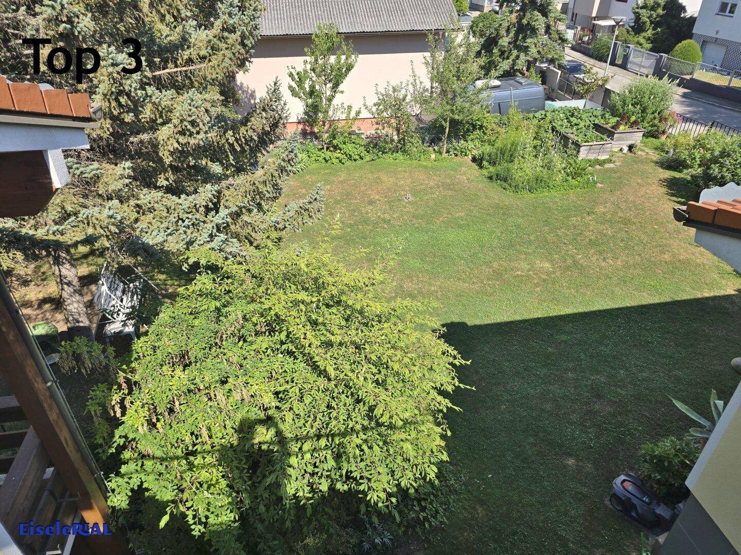 Gepflegter Gartenbereich mit Rasenfläche und verschiedenen Pflanzen, umgeben von Bäumen.