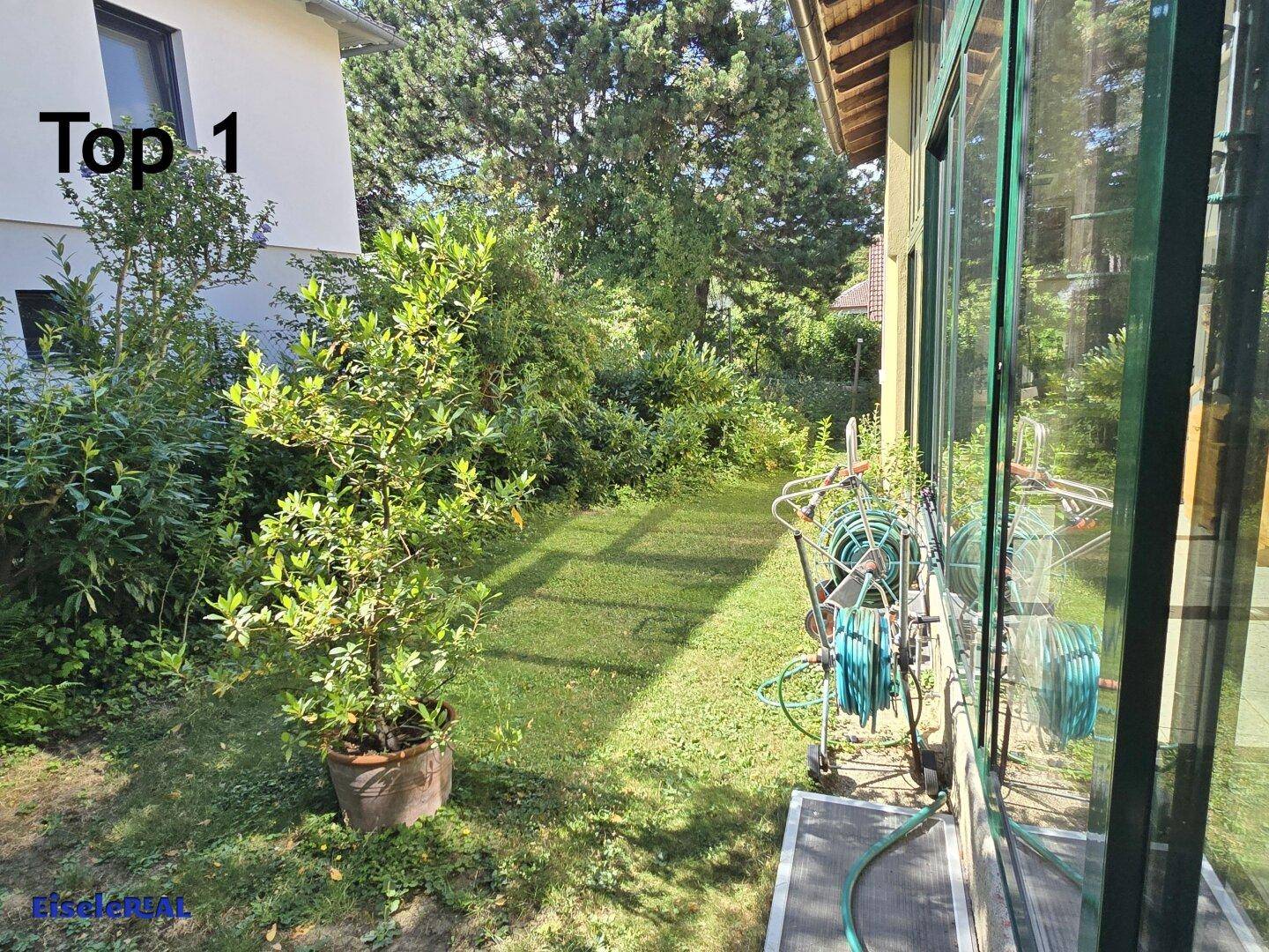 Gartenbereich neben dem Haus mit Rasenfläche, Pflanzen und einer verglasten Veranda oder Wintergarten.