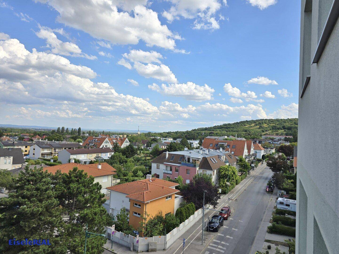 Blick auf eine ruhige Wohnstraße mit Häusern und viel Grün in der Ferne.