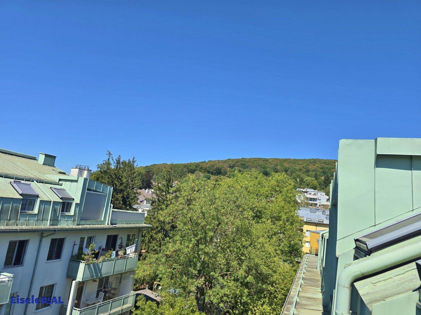Panoramablick über grüne Baumwipfel und Dächer mit einem bewaldeten Hügel im Hintergrund.