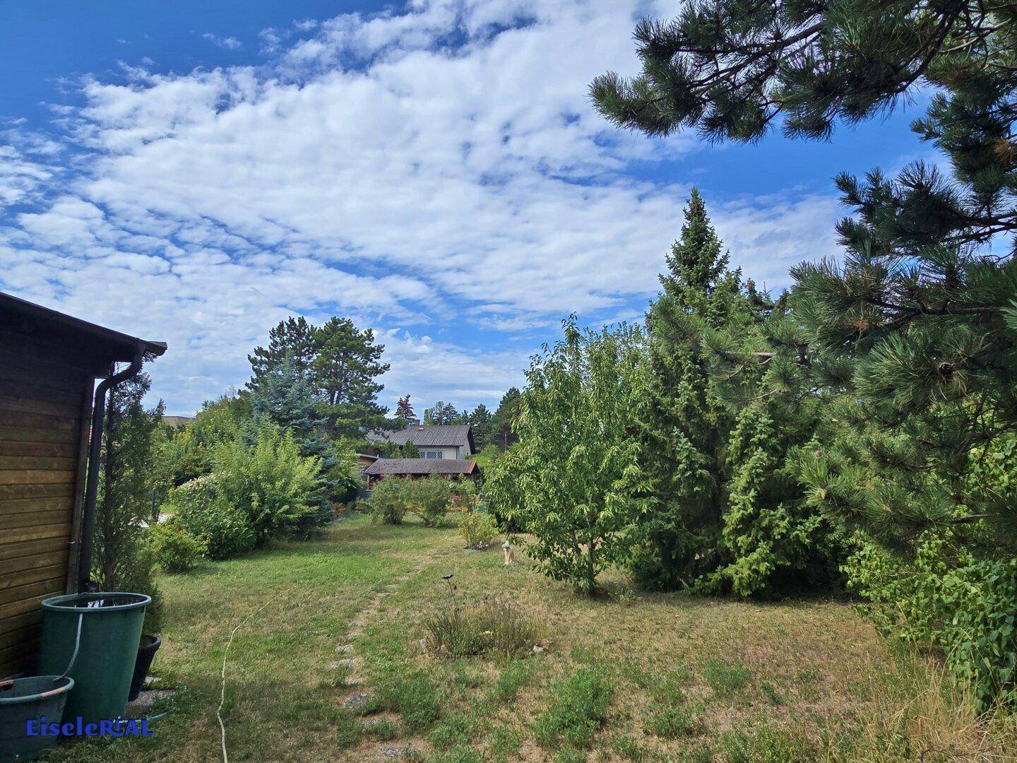 Weitläufiger Garten mit üppiger Vegetation und Bäumen unter einem blauen Himmel.