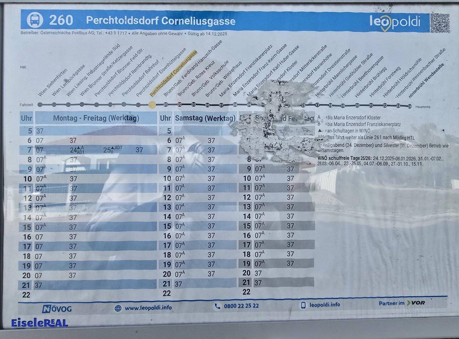 Slide 12