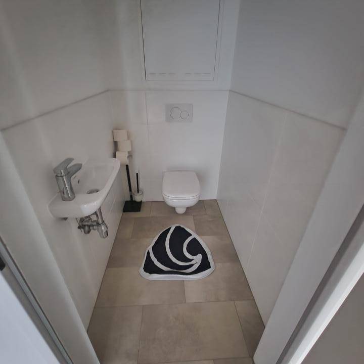 WC-mit-Klopapierhalter-und-Teppich