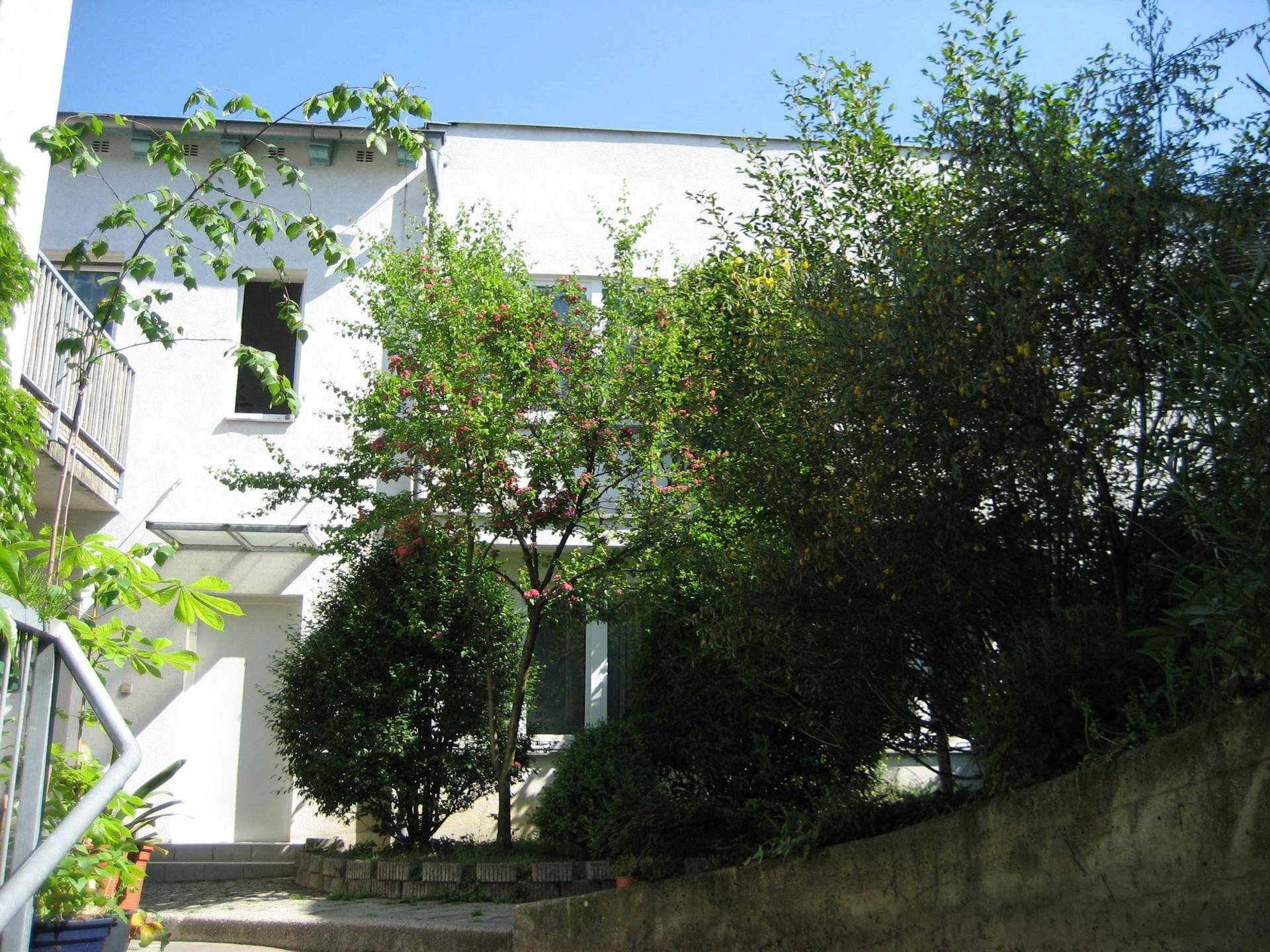 Zugang-TOP-6