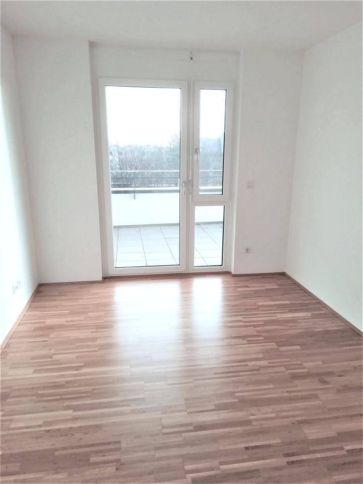 Zimmer-2.png