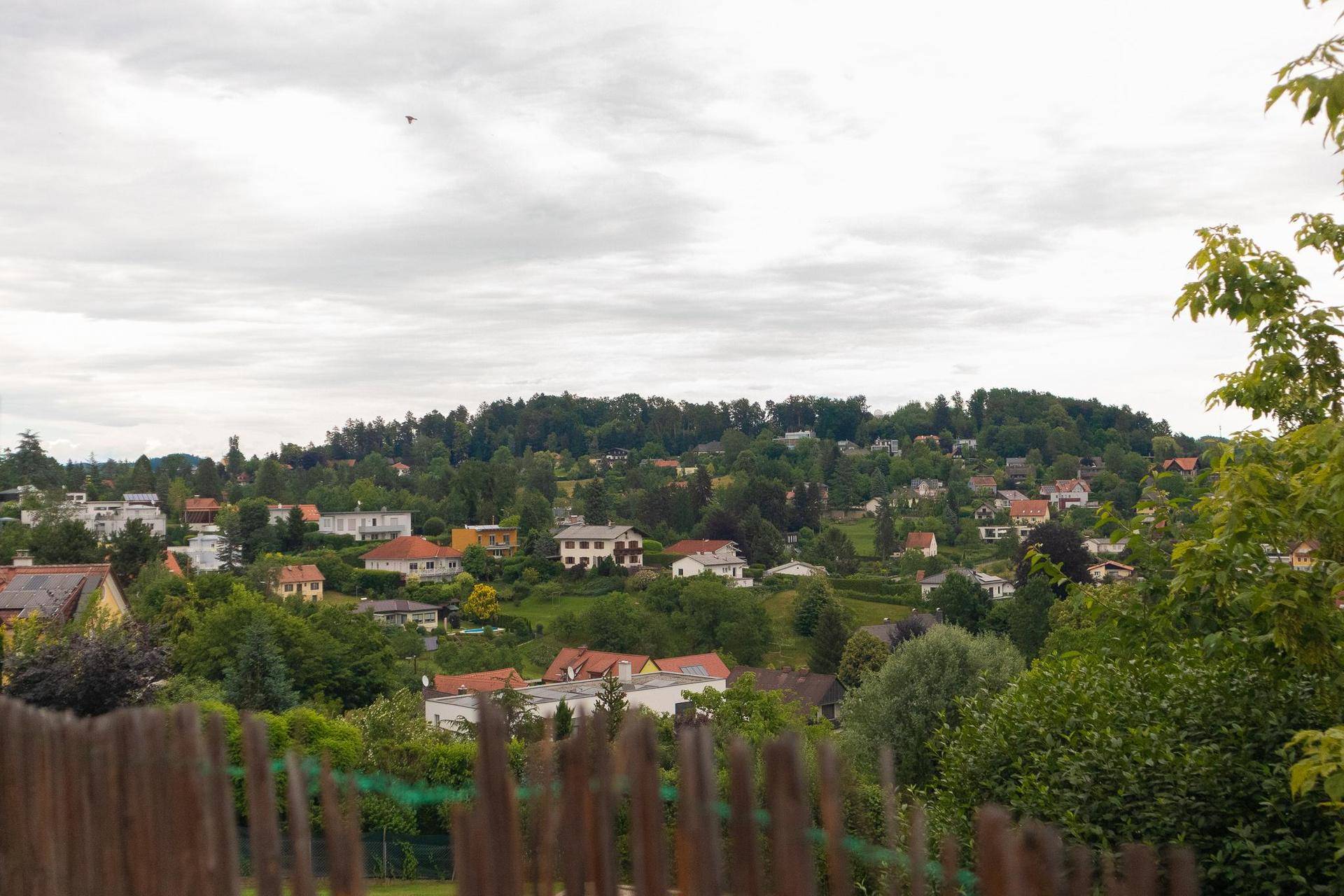 Weitläufiger Blick auf eine von Bäumen umgebene Wohngegend mit vielen Häusern.