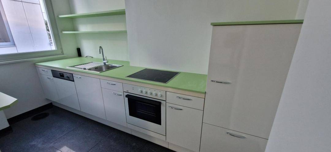 Detailansicht der Küchenzeile mit Spüle, Kochfeld, Backofen und Kühlschrank.
