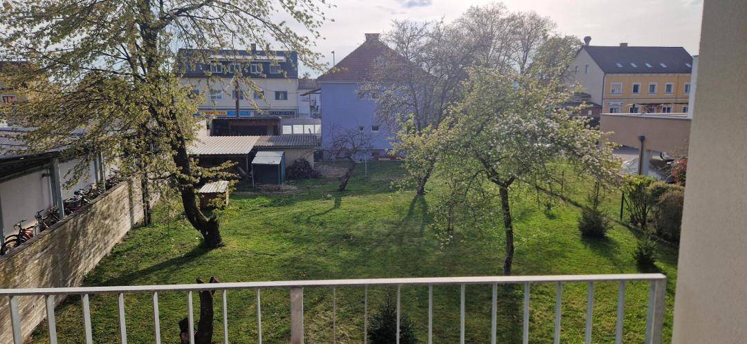 Blick vom Balkon auf einen grünen Hinterhof mit Bäumen und umliegenden Gebäuden.