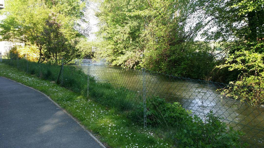 Idyllisches Flussufer mit üppiger Vegetation und einem Spazierweg, der zum Verweilen einlädt.