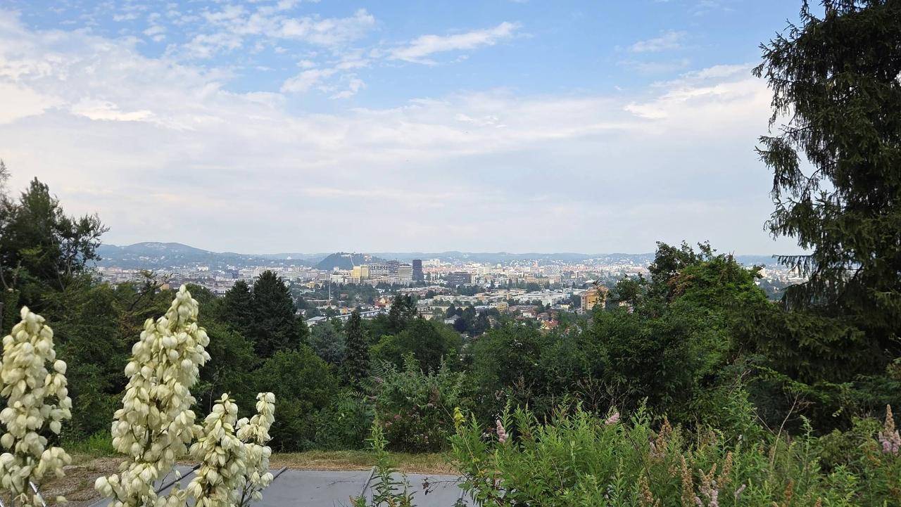 Weitläufiger Blick auf die Stadt und die umliegende Natur, mit blühenden Pflanzen im Vordergrund.