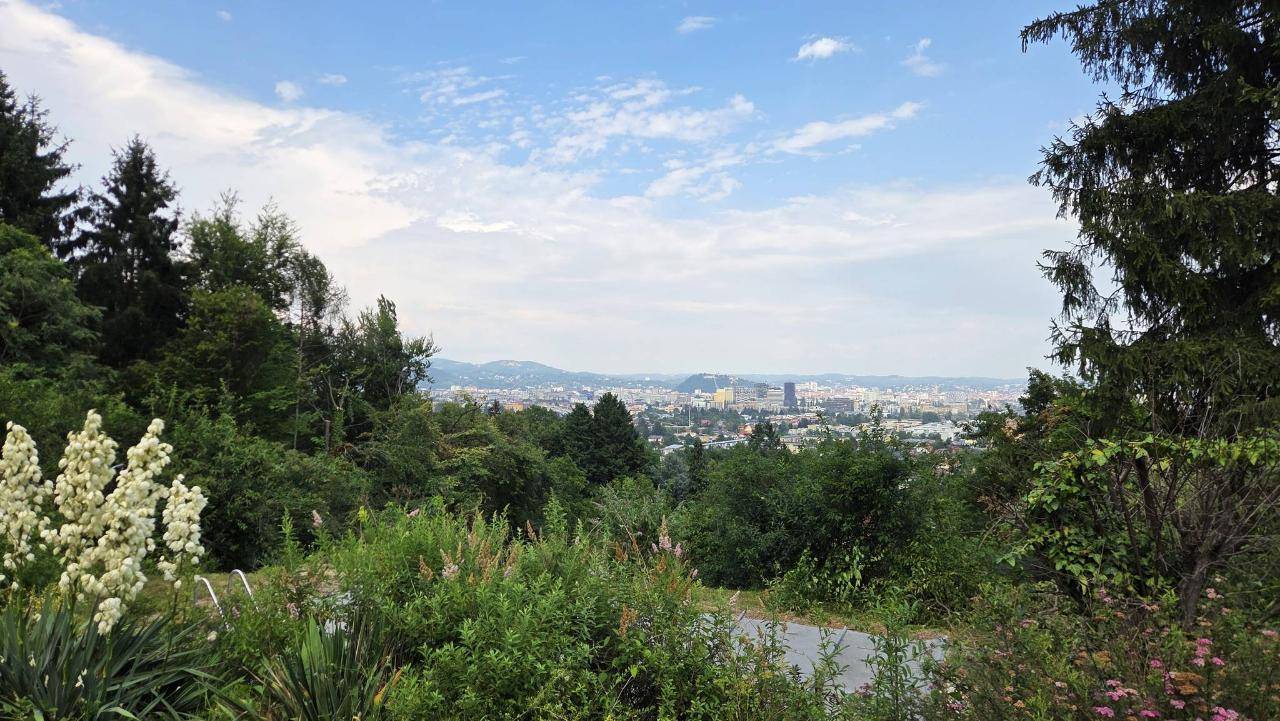 Malerischer Ausblick auf die Stadt, umrahmt von blühenden Pflanzen und hohen Bäumen.