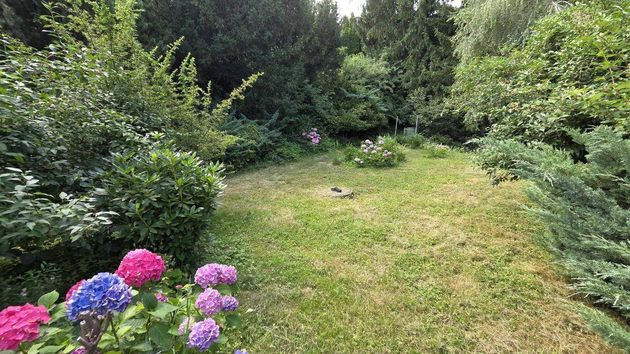 Gepflegter Gartenbereich mit bunten Hortensien und üppiger Vegetation im Hintergrund.