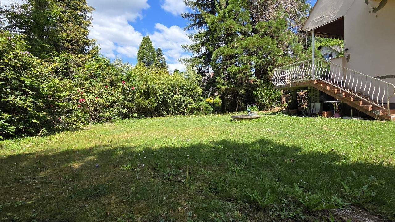 Sonniger Gartenbereich mit Rasenfläche und Blick auf die Außentreppe des Hauses.