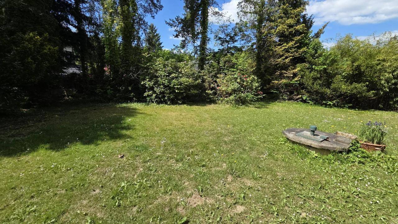 Gepflegter Rasenbereich im Garten mit üppiger Bepflanzung im Hintergrund unter blauem Himmel.