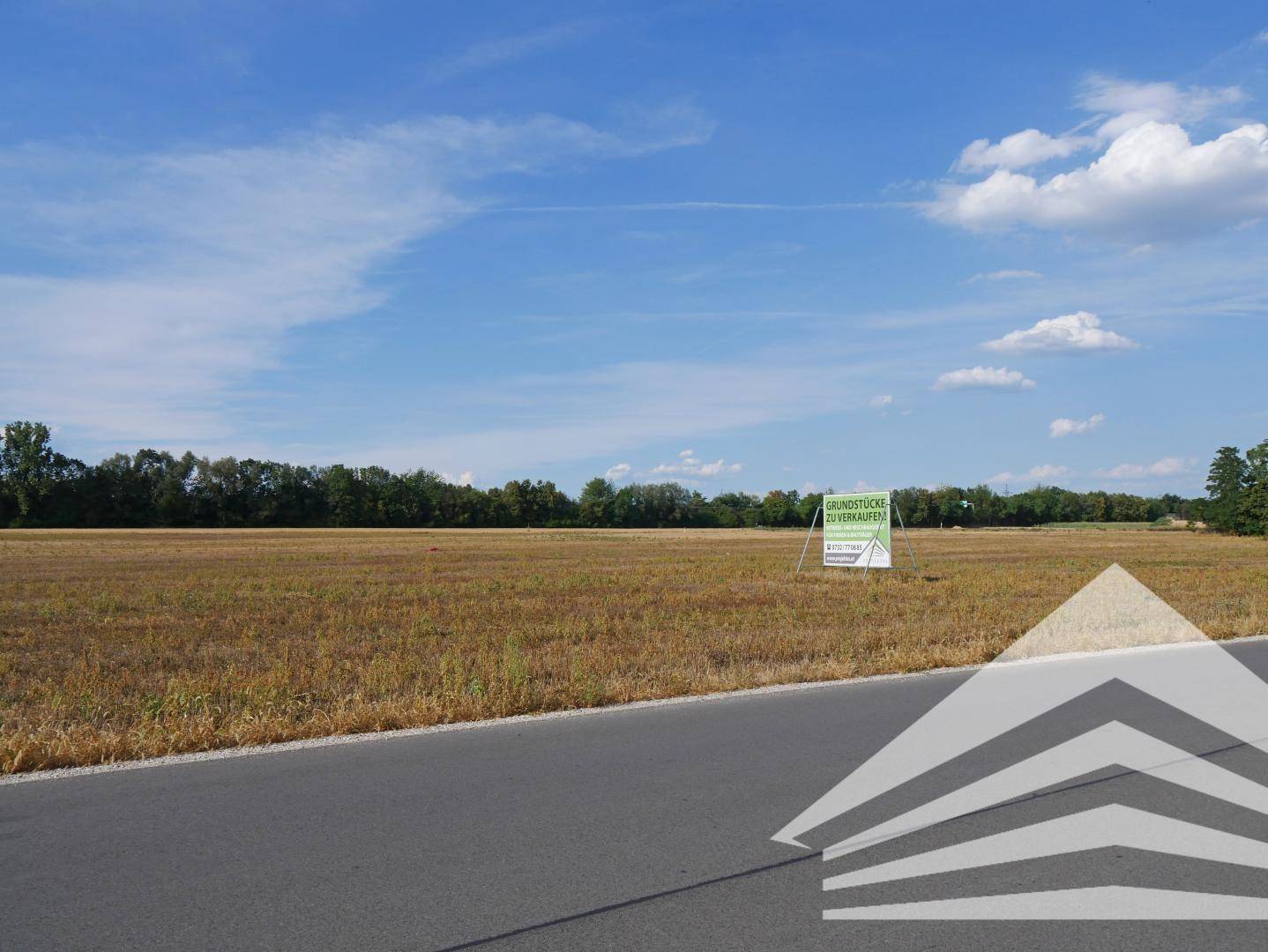Weitläufiges Feld mit einem Verkaufsschild für Grundstücke unter blauem Himmel.