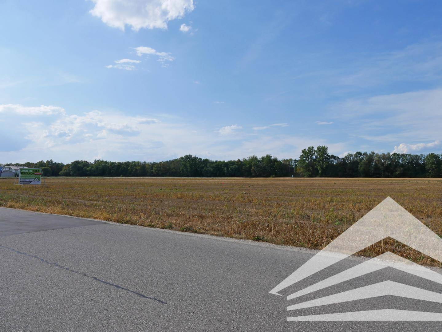Weitläufiges, trockenes Feld neben einer Straße unter klarem blauem Himmel.