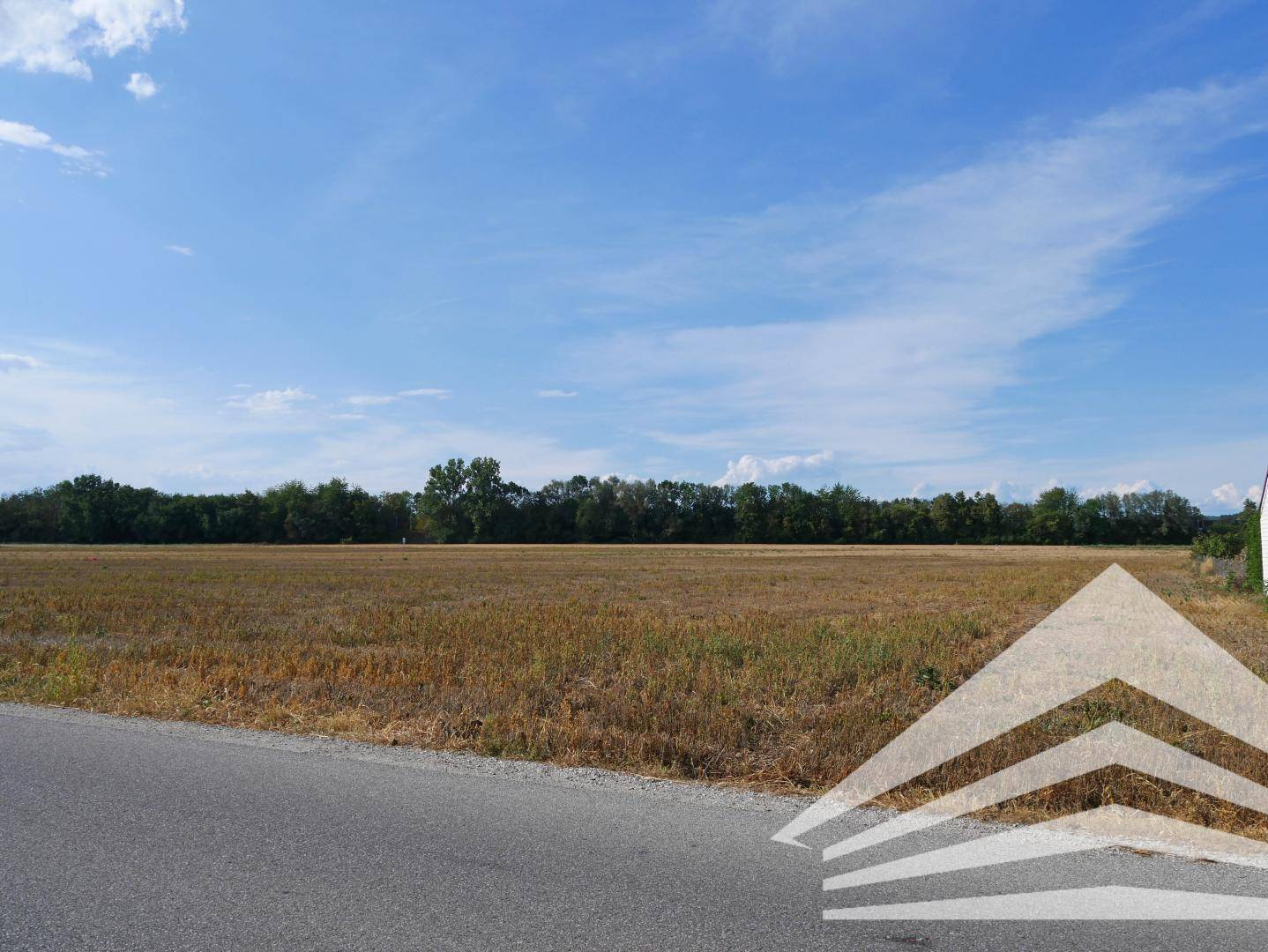 Breites Feld mit einer asphaltierten Straße im Vordergrund und einer Baumreihe am Horizont unter blauem Himmel.