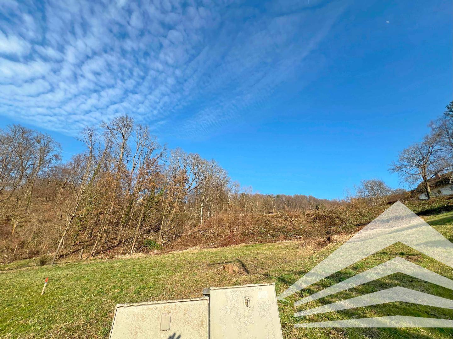 Grüne Hügellandschaft mit kahlen Bäumen unter einem strahlend blauen Himmel, ideal für Naturliebhaber.