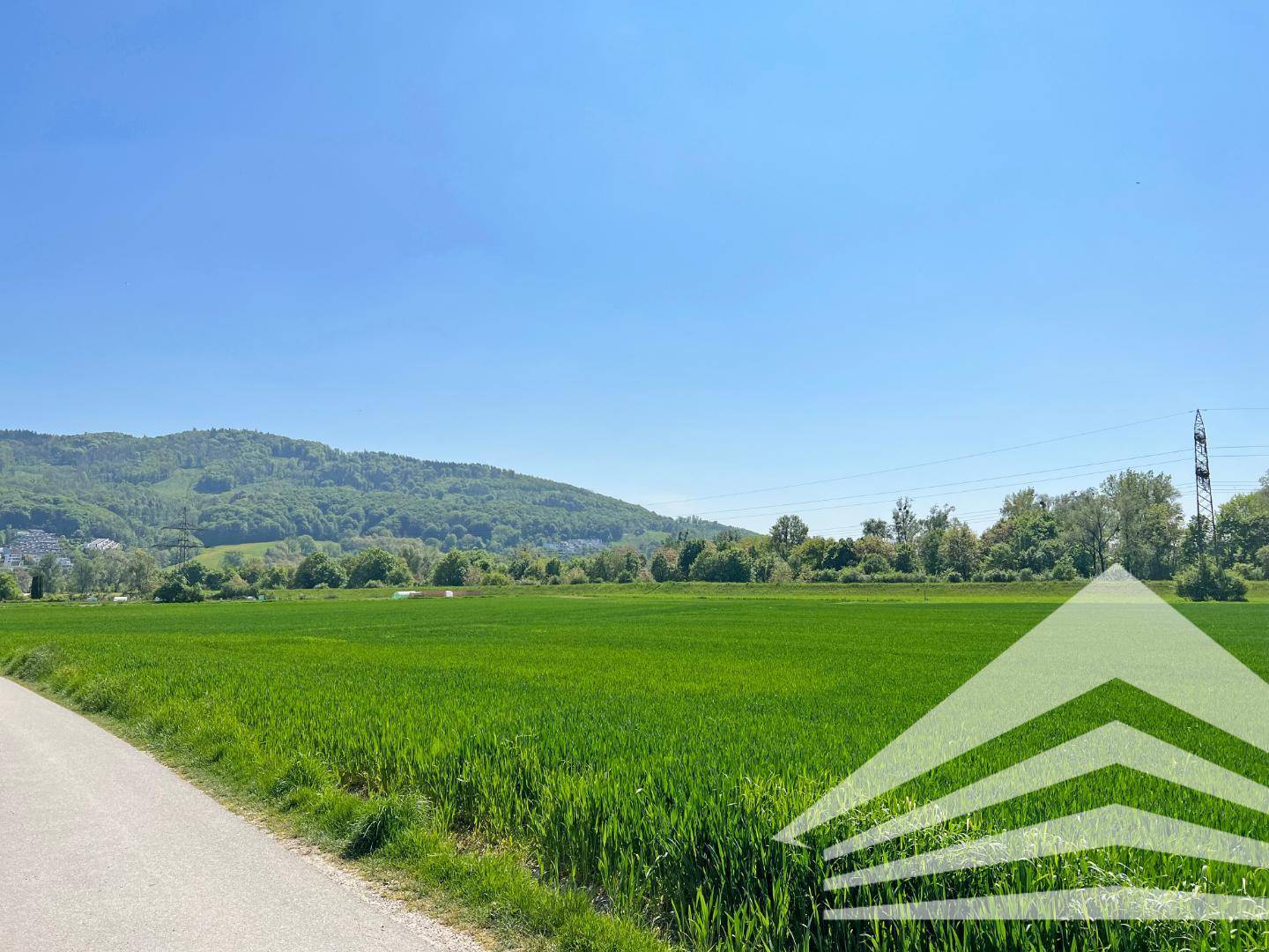 Weitläufiger Blick über grüne Felder und sanfte Hügel in der ländlichen Umgebung.