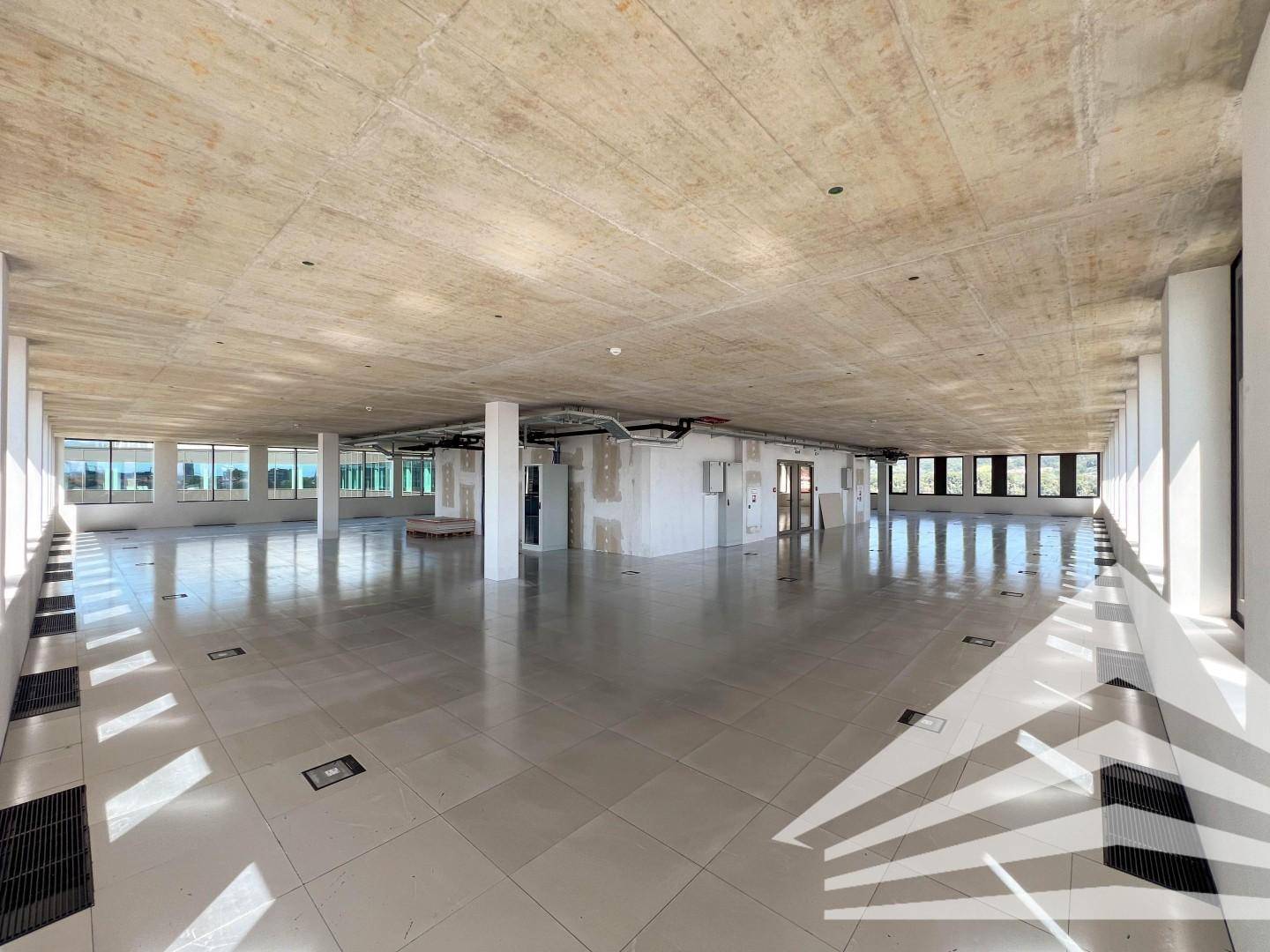 Weitläufiger Büroraum mit Sichtbetondecke, Fliesenboden und viel natürlichem Licht.