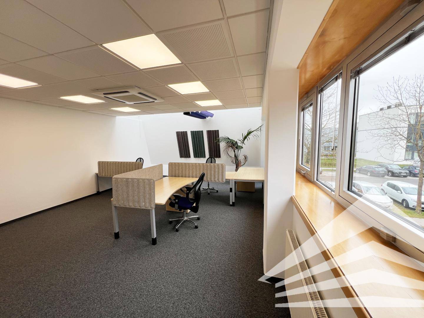 Helles Büro mit mehreren Arbeitsplätzen, Teppichboden und Blick auf den Außenbereich.