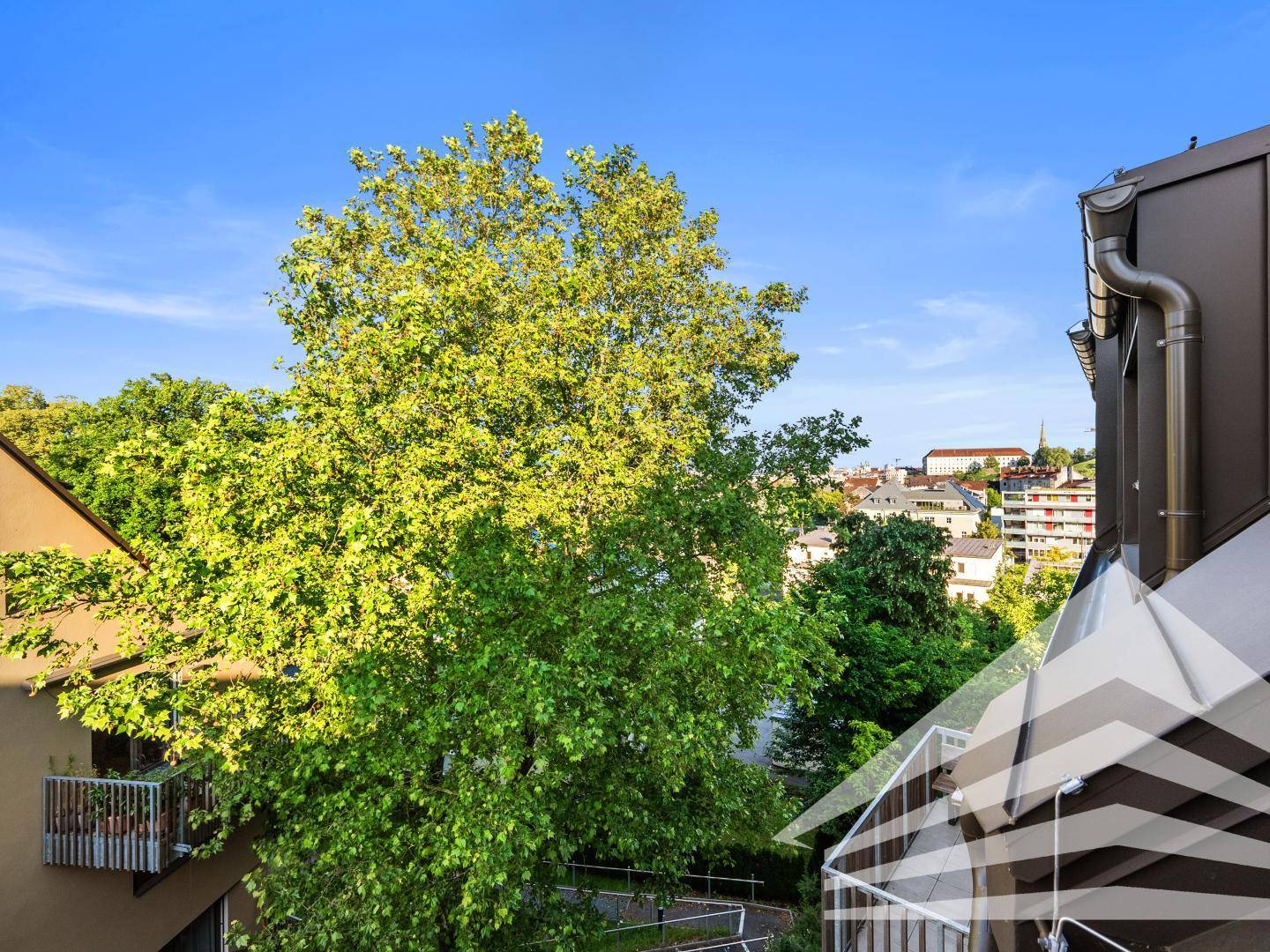 Grüne Umgebung mit hohen Bäumen und Dächern von Wohnhäusern unter strahlend blauem Himmel.