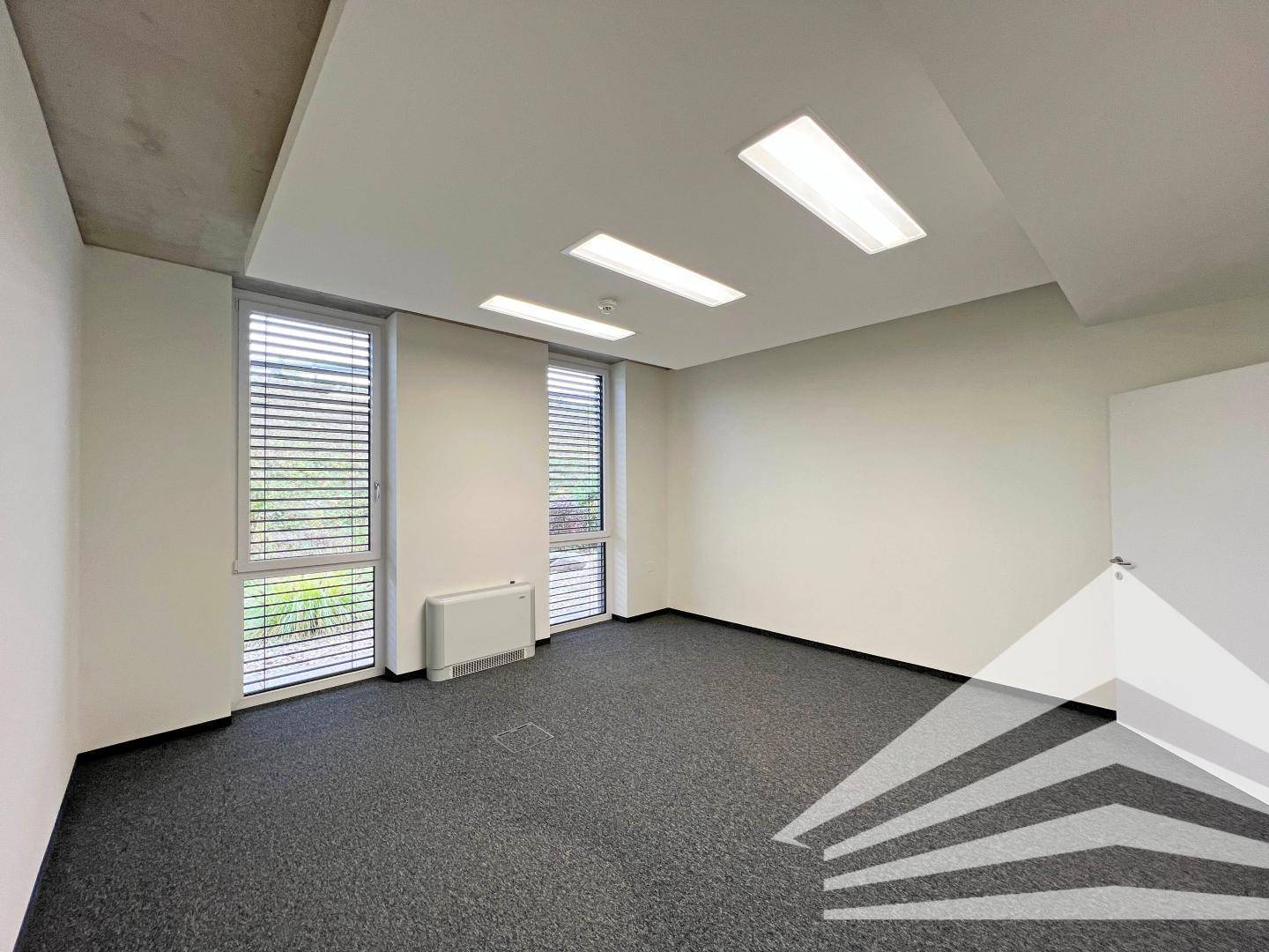 Helles Büro mit Teppichboden, Jalousien an den großen Fenstern und moderner Deckenbeleuchtung für eine angenehme Arbeitsatmosphäre.