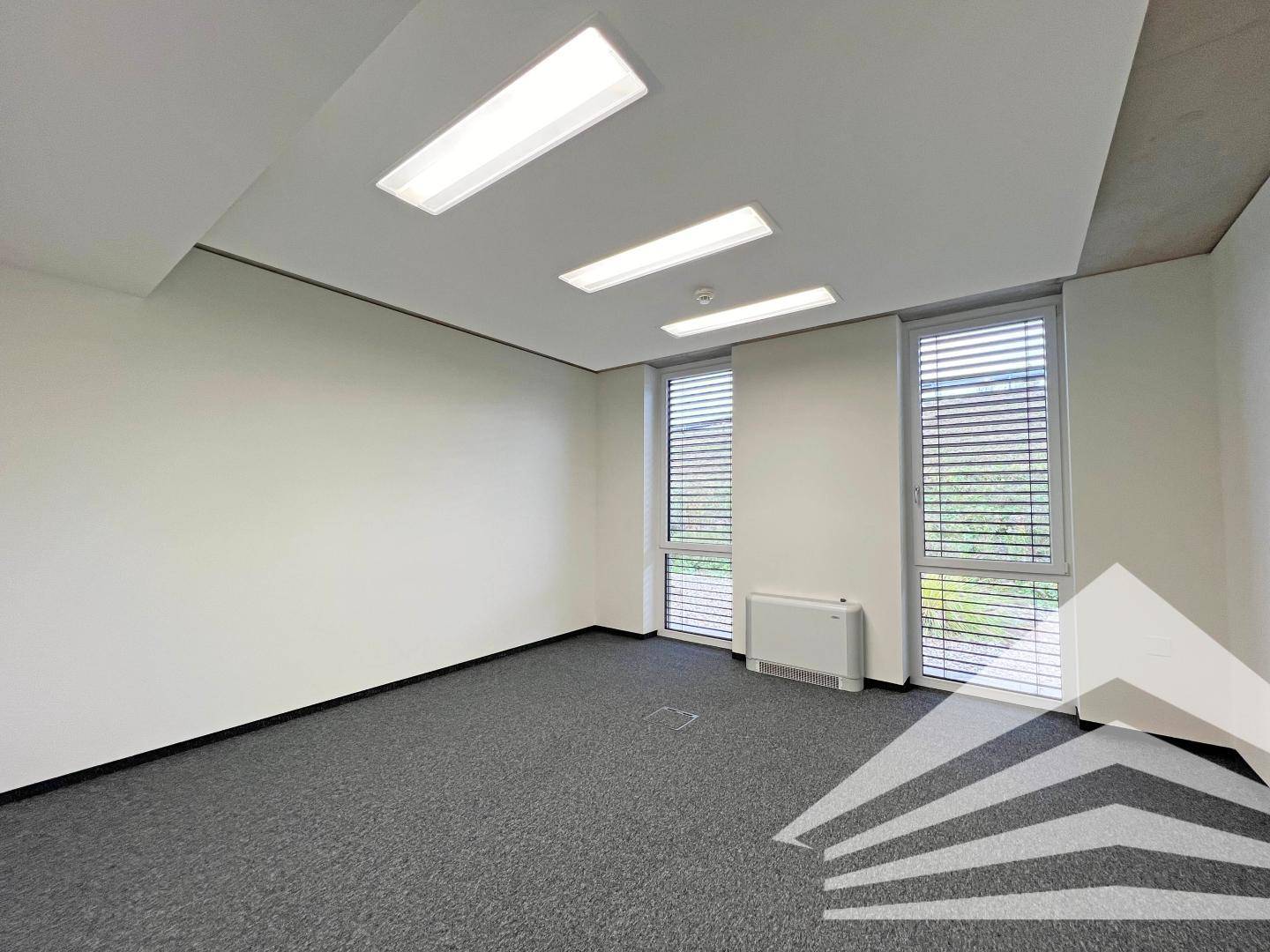 Leeres Büro mit Teppichboden, großen Fenstern mit Jalousien und effizienter Beleuchtung, bietet vielseitige Nutzungsmöglichkeiten.