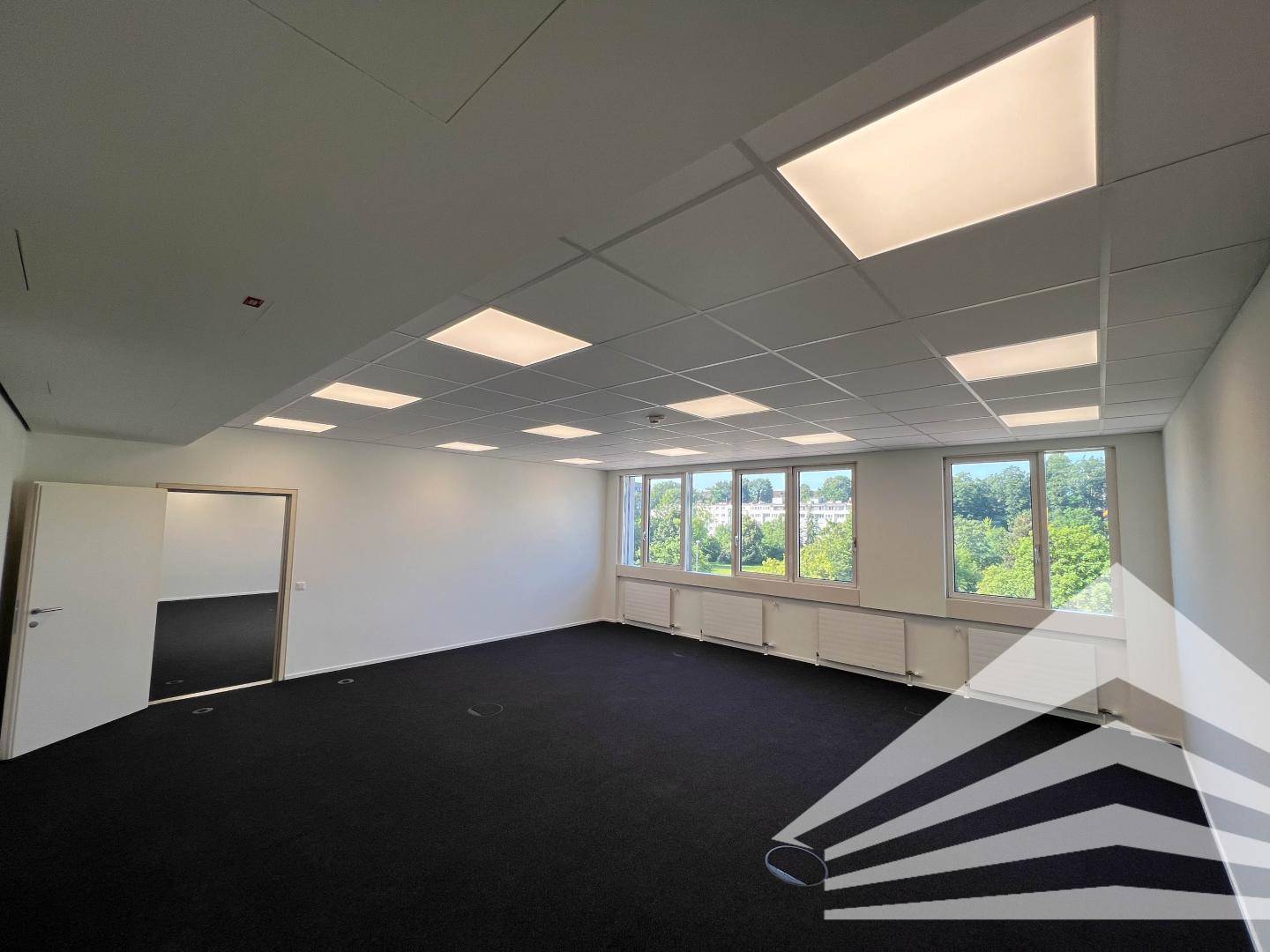 Geräumiges Büro mit Teppichboden, großen Fenstern und effizienter Deckenbeleuchtung.