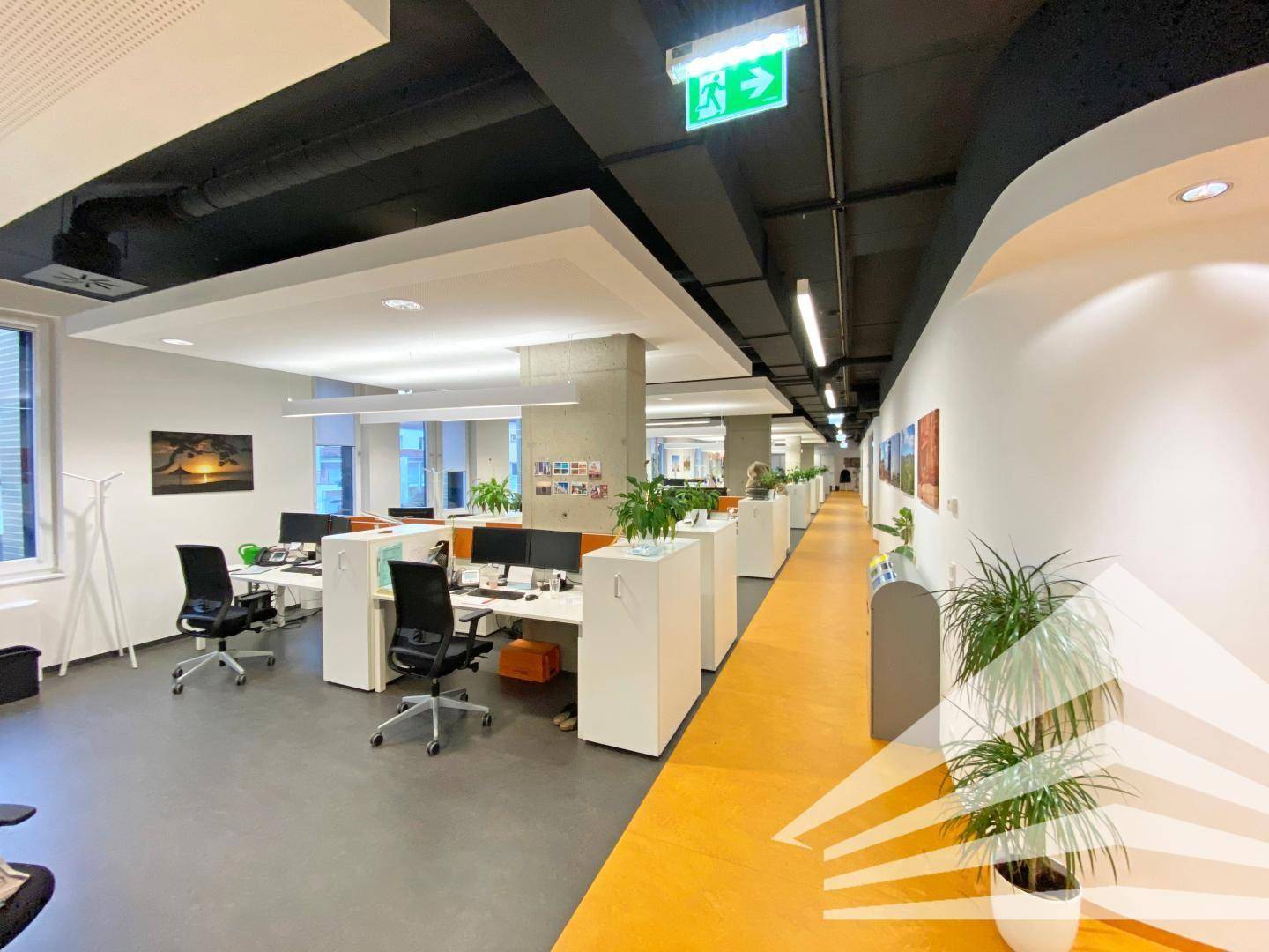 Offenes Büro mit mehreren Arbeitsplätzen, orangefarbenem und grauem Boden sowie Pflanzen zur Dekoration.