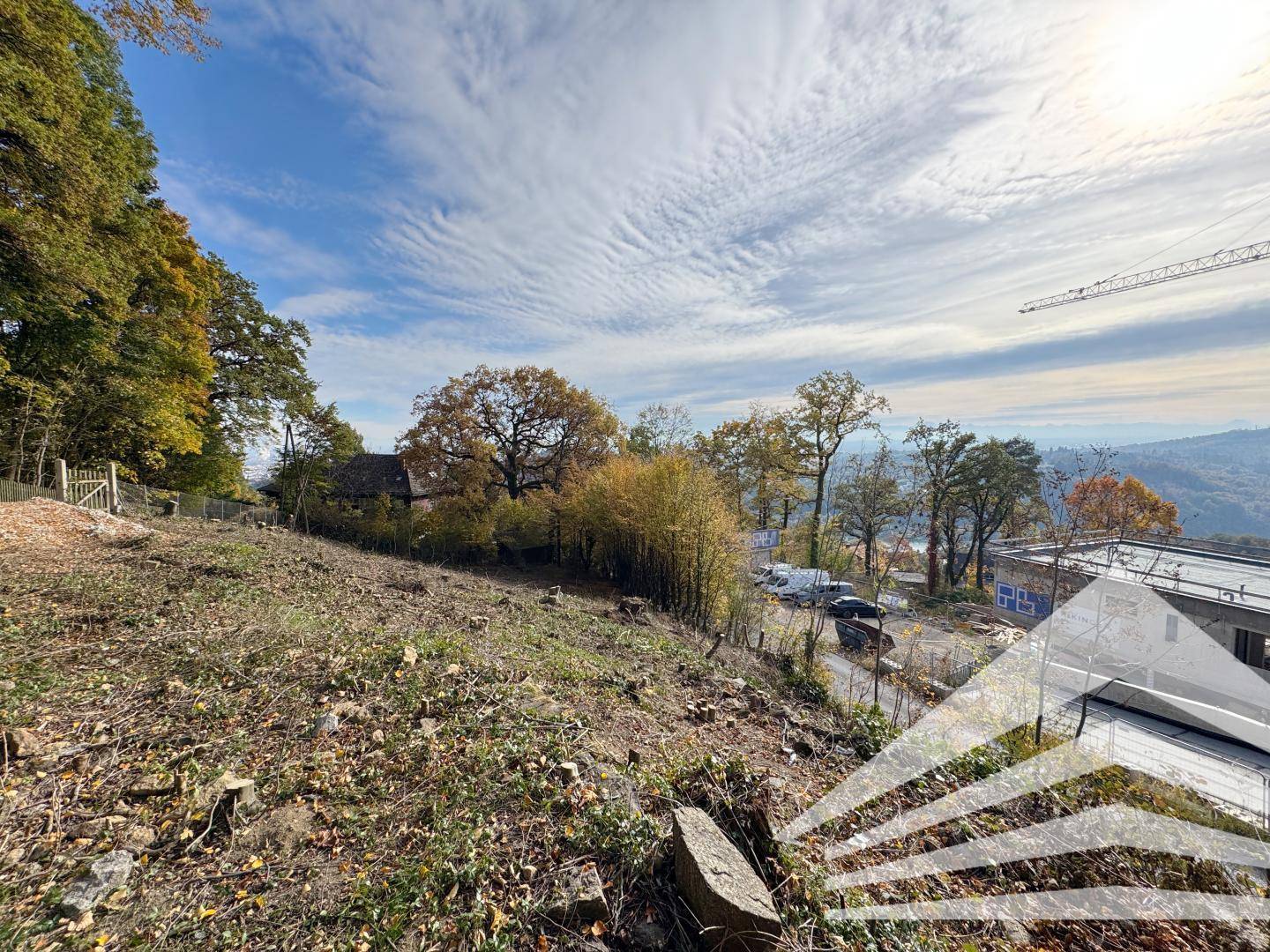 Hanggrundstück mit gerodeter Fläche, umgeben von Herbstbäumen und Blick auf die Baustelle.