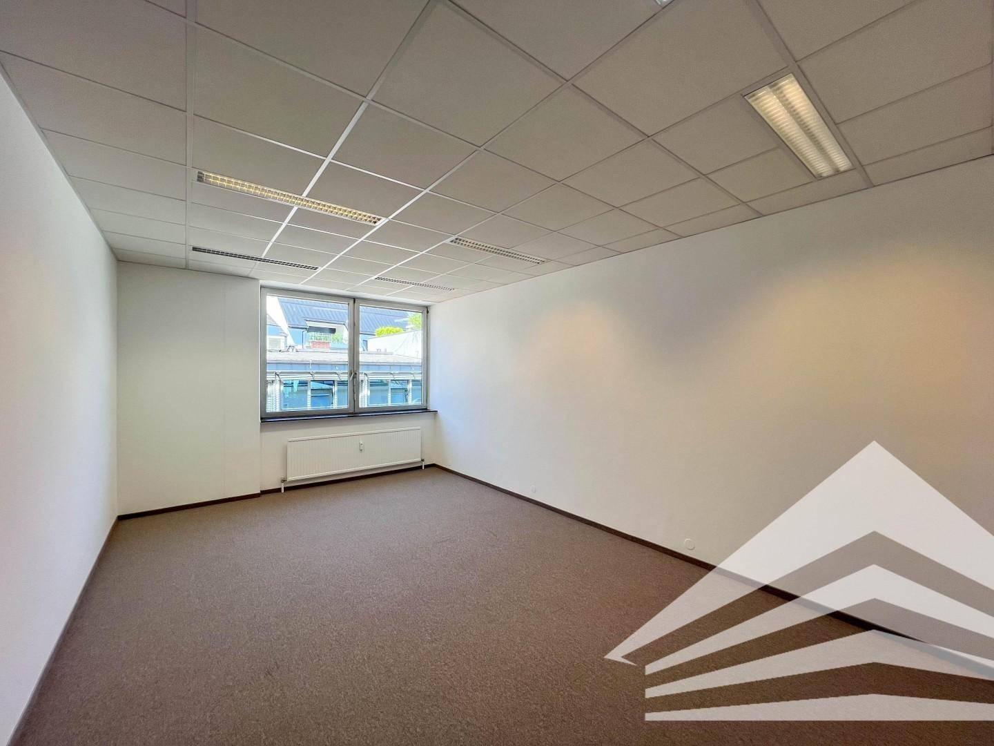 Bürofläche mit Teppichboden, Rasterdecke und großen Fenstern, die einen grünen Ausblick bieten.
