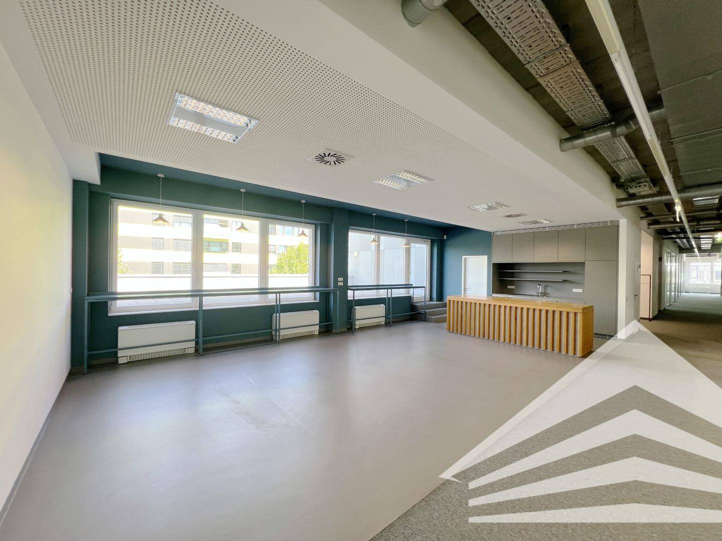 Großer offener Raum mit einer Küchenzeile, dunkelgrünen Wänden und großen Fenstern.