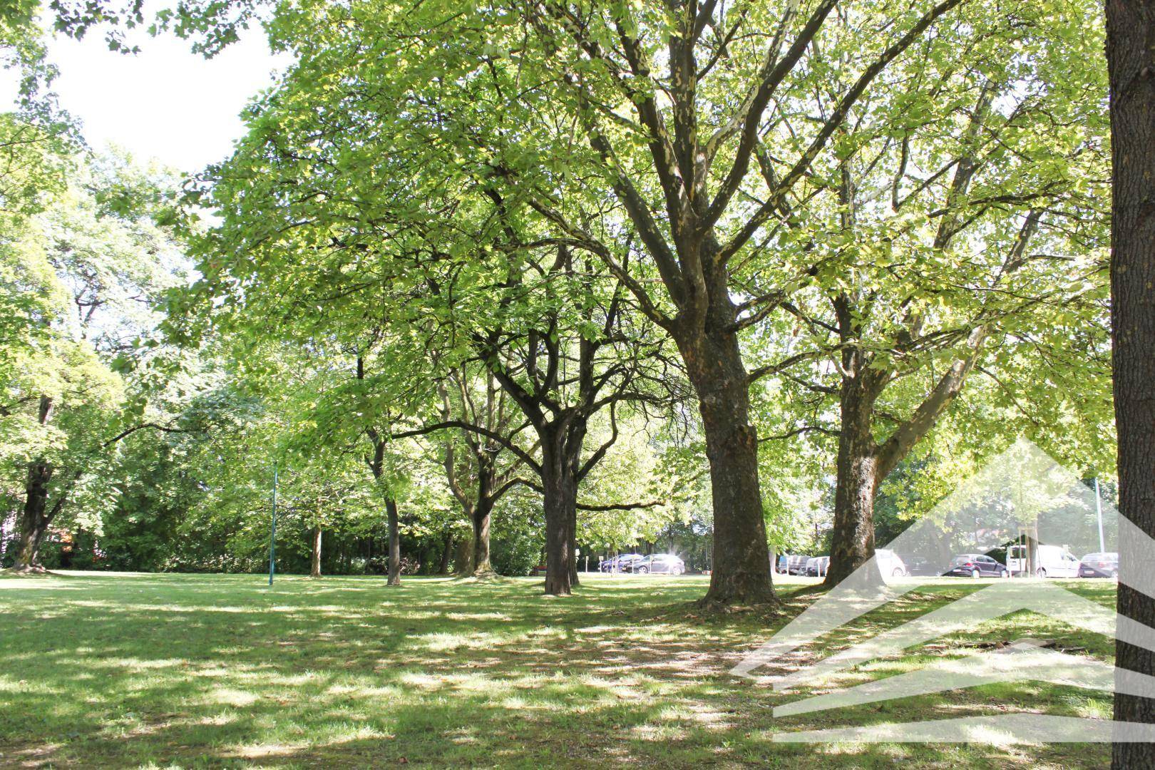 Grüne Parklandschaft mit hohen Bäumen und weitläufigen Rasenflächen, bietet eine ruhige Umgebung.