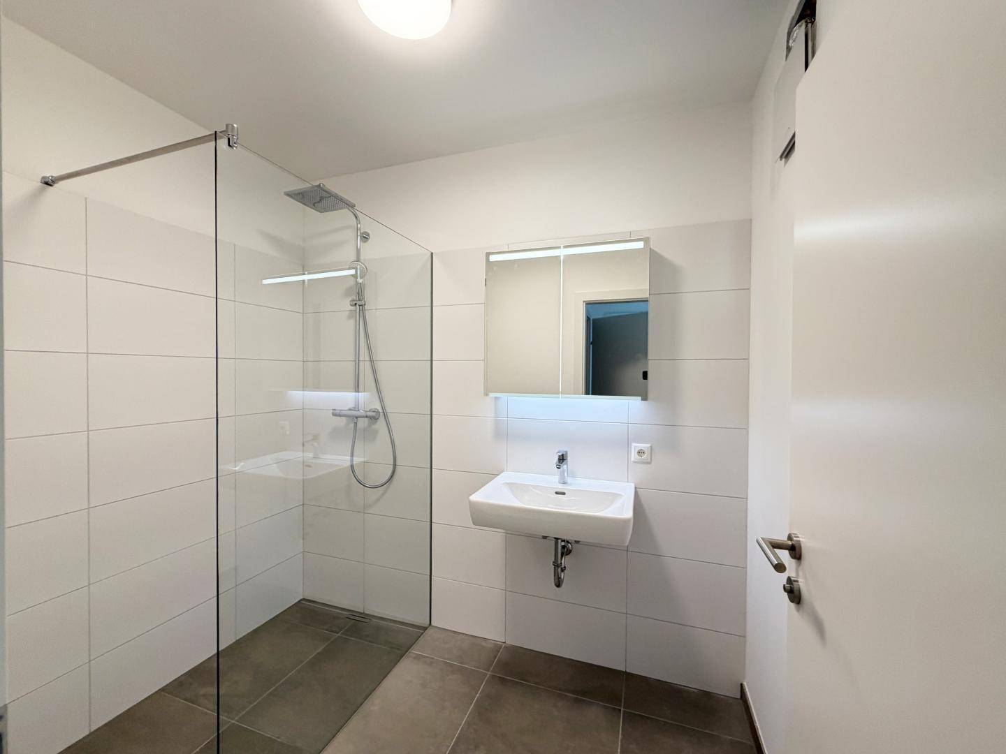 Modernes Badezimmer mit ebenerdiger Dusche, Einzelwaschbecken und Spiegelschrank.