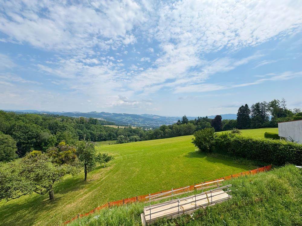 Weitläufige grüne Wiesen und Hügel mit Bäumen unter einem strahlend blauen Himmel.