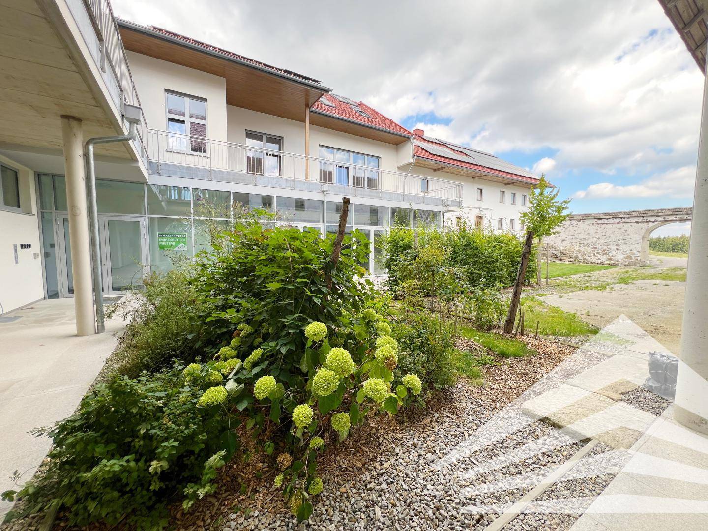Ein gepflegter Gartenbereich mit üppiger Bepflanzung und einem modernen Gebäude im Hintergrund.