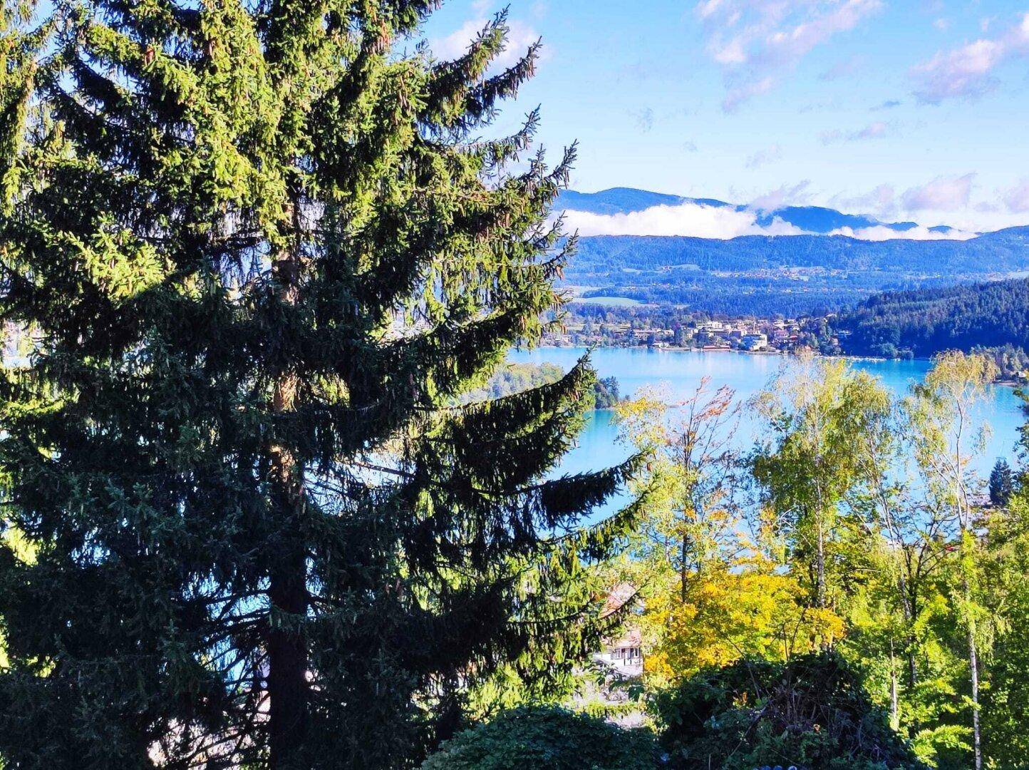 Ausblick
