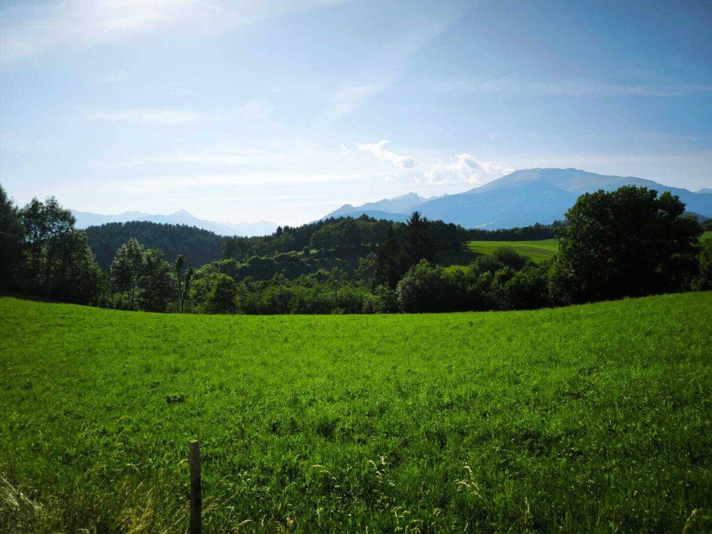 Weitblick