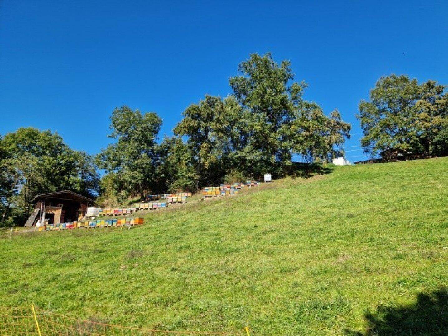 Mein Platz an der Sonne ! Schöne Baugrundstücke in Aussichtlage - oberhalb von Seeboden am Millstättersee - ab € 131.250,- - Ansicht 4